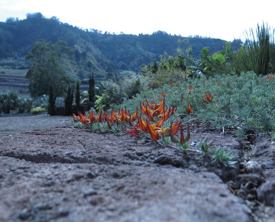 Haciendas Del Valle - Las Kentias Valle de Guerra Buitenkant foto
