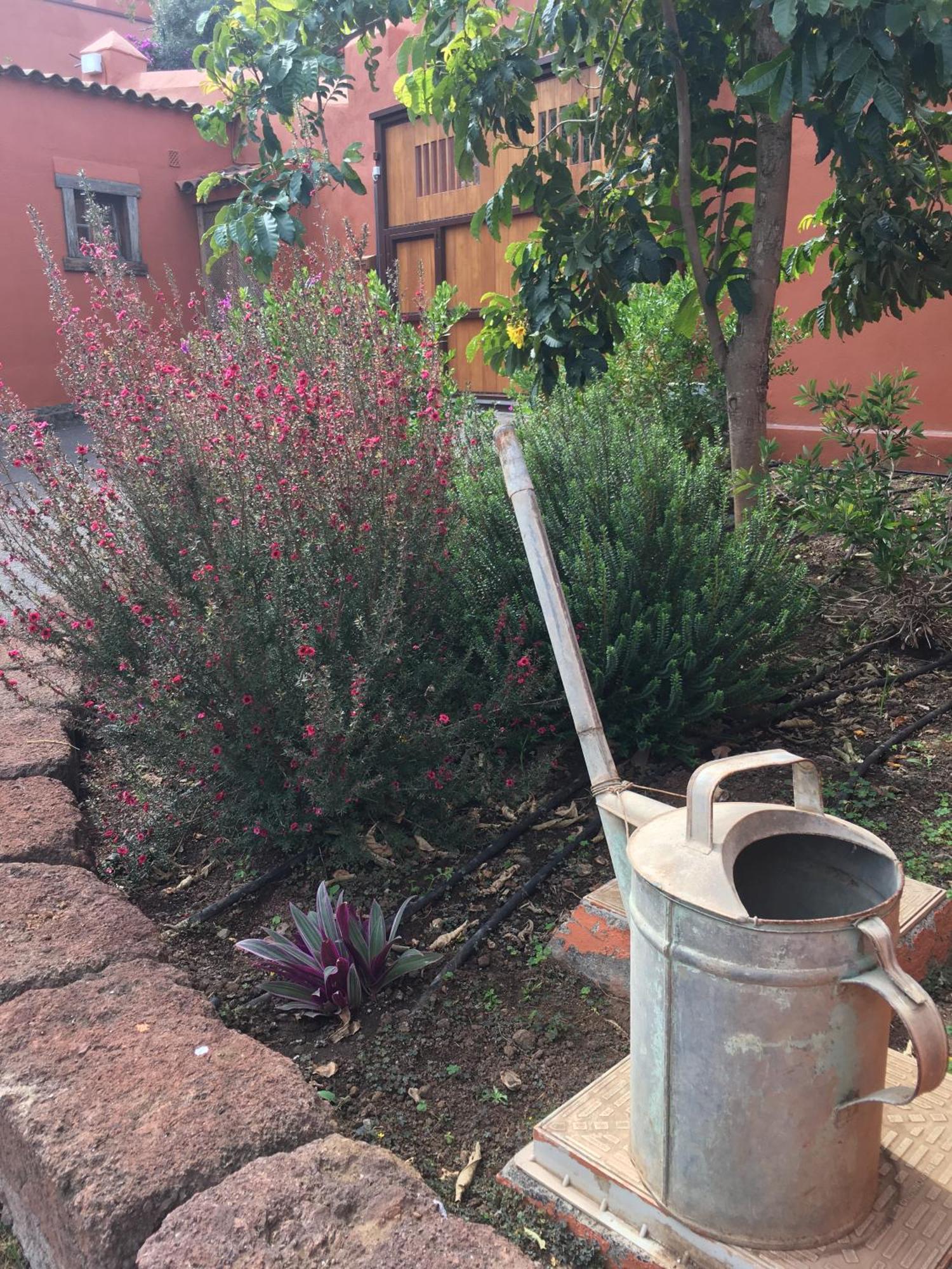 Haciendas Del Valle - Las Kentias Valle de Guerra Buitenkant foto