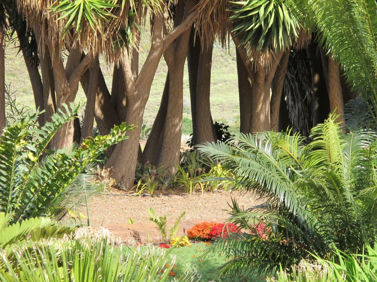 Haciendas Del Valle - Las Kentias Valle de Guerra Buitenkant foto